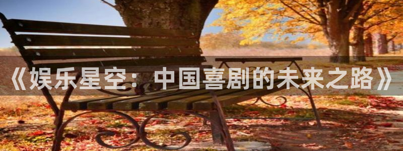 百达娱乐：《娱乐星空：中国喜剧的未来之路》