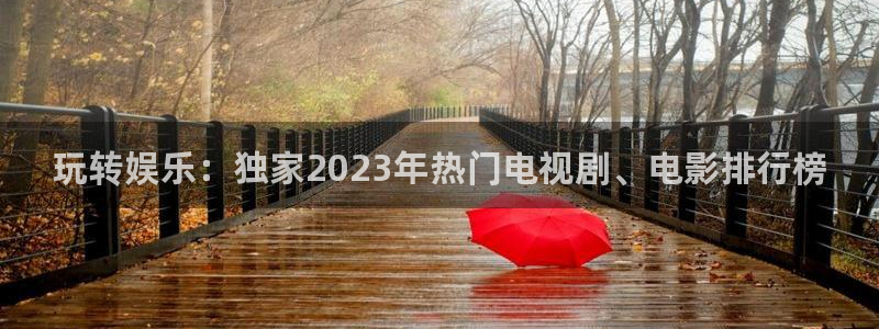 百达娱乐：玩转娱乐：独家2023年热门电视剧、电影排行榜