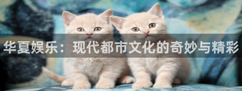 百达娱乐：华夏娱乐：现代都市文化的奇妙与精彩